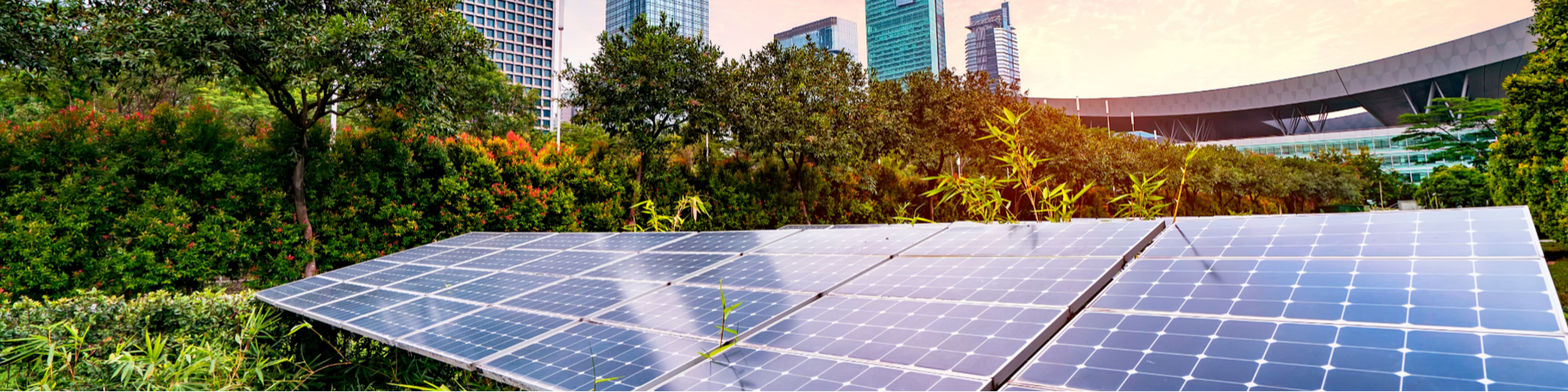 Image consisting of Solar Panels with greenery surrounding it and a backdrop of a city sky line